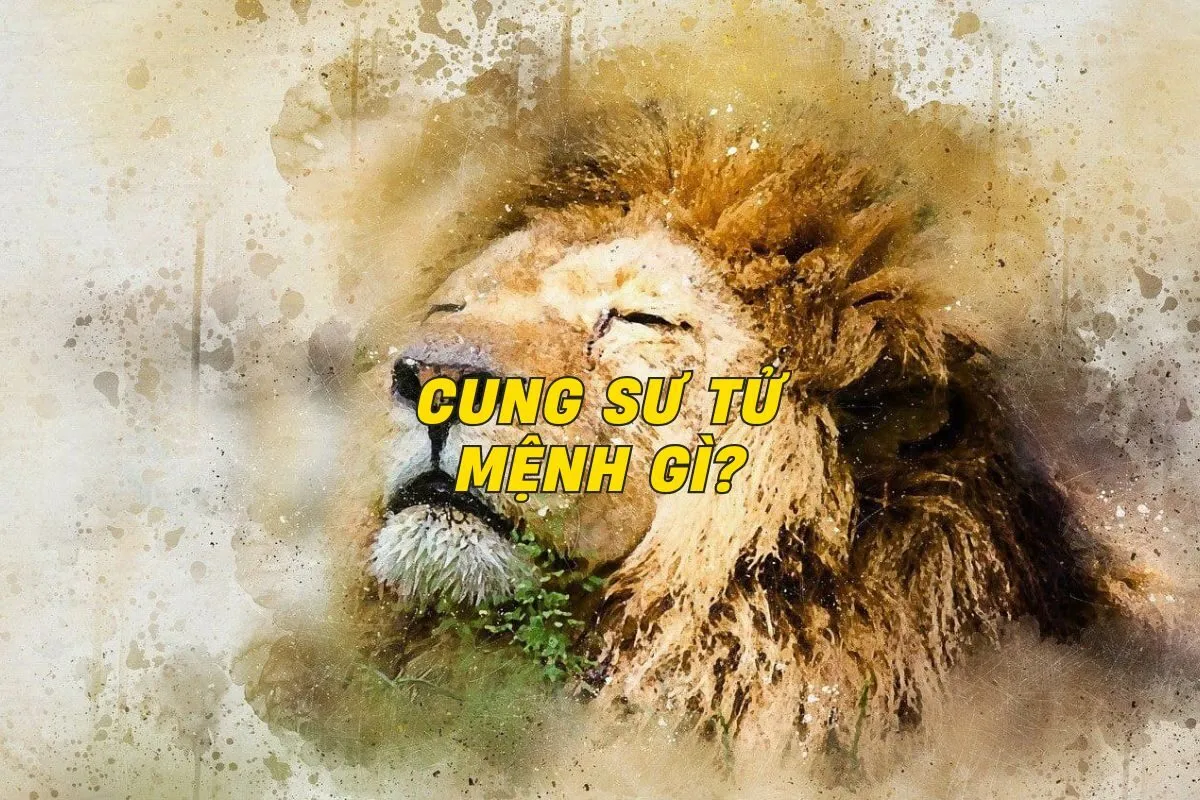 cung-su-tu-menh-gi-0