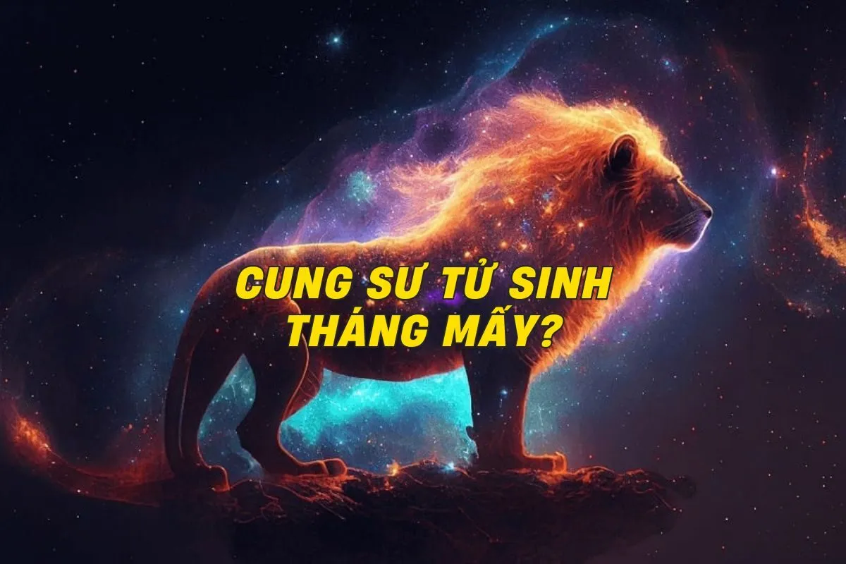 cung-su-tu-sinh-thang-may-0