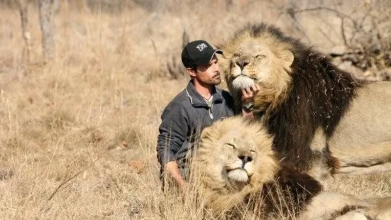 Bài học xây dựng thương hiệu cá nhân từ Sư Tử